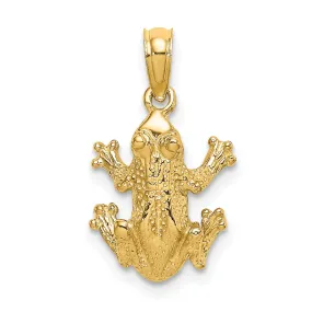 14K Yellow Gold Textured Polished Finish 2-Dimensional Top View Frog Charm Pendant