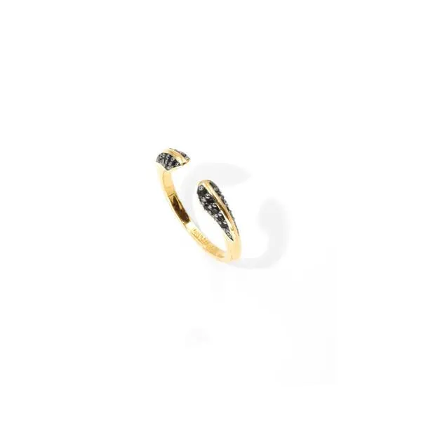 Phoenix - Open Skinny Ring, set of 2